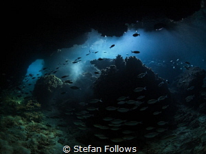 "Like all dreamers, I mistook disenchantment for truth." ... by Stefan Follows 